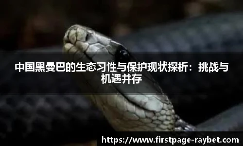 雷竞技