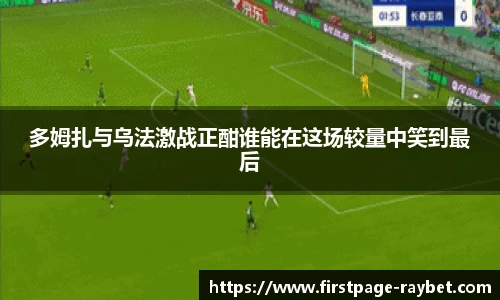 雷竞技RAYBET
